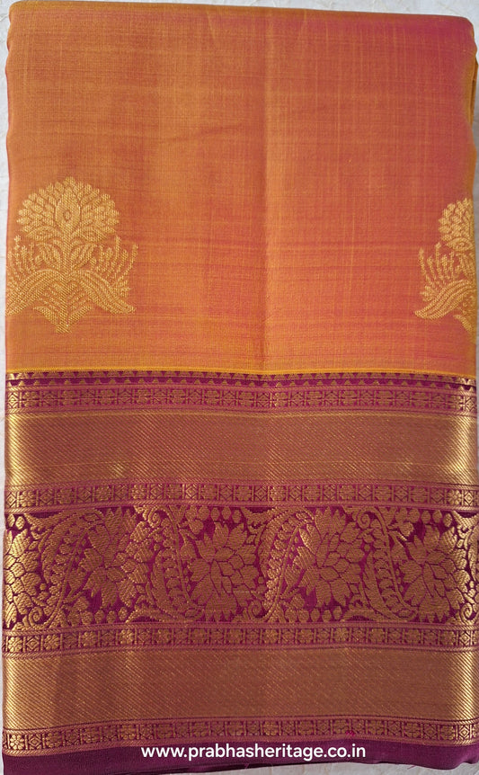 Charukesi Sandhya Varnam