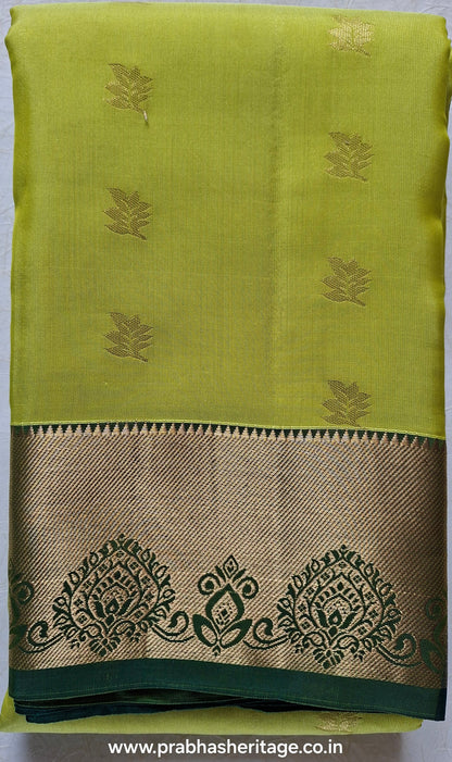 Hamsadhwani Harita Varnam