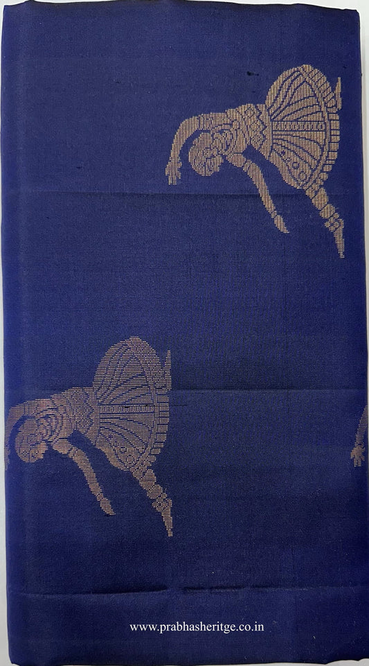 Neela Nritya Tarangini short-folded to show the body and gold zari border