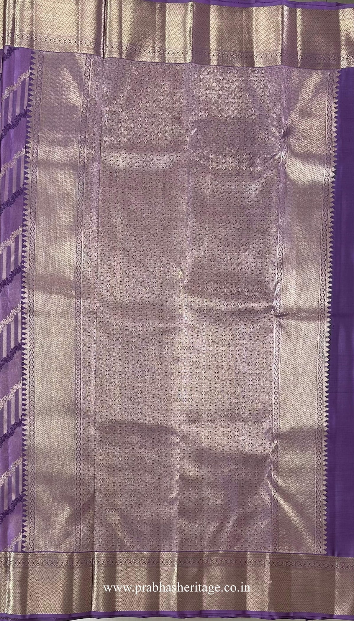 Pallu with an extensive gold-toned woven field and geometric detailing