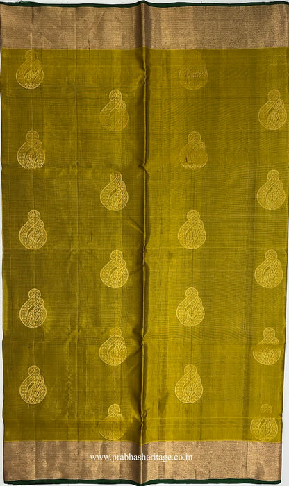 Large paisley-like ornamental motifs on the olive-chartreuse silk body